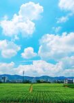 田园绿野蓝天白云美景
