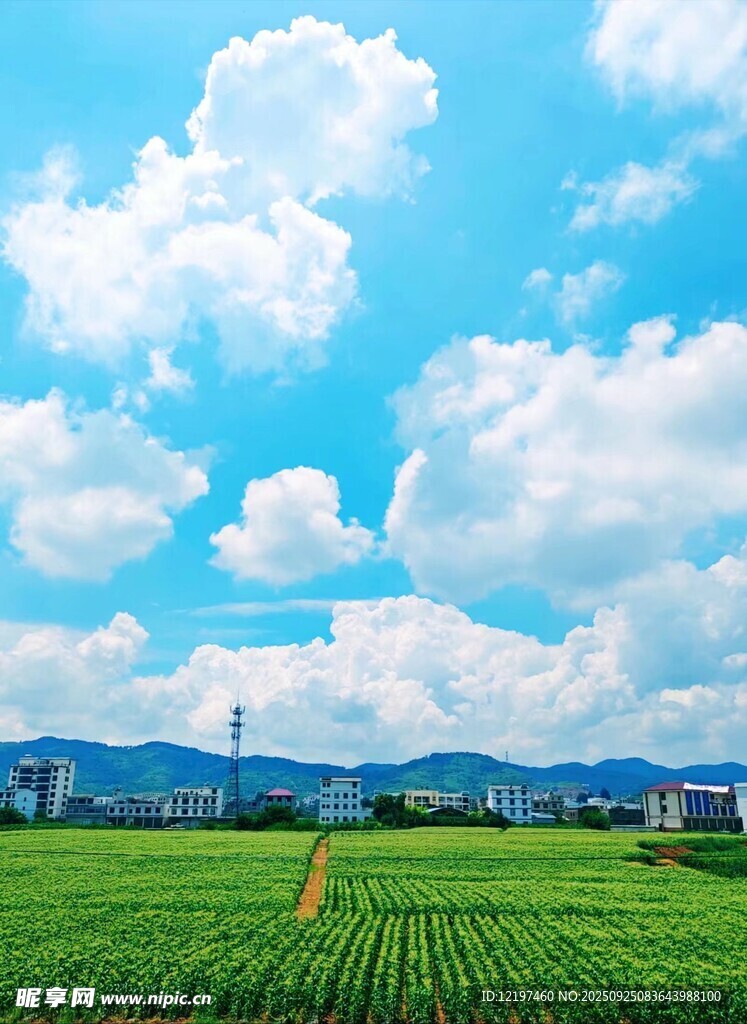田园绿野蓝天白云美景