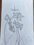 素描荷花蜻蜓图