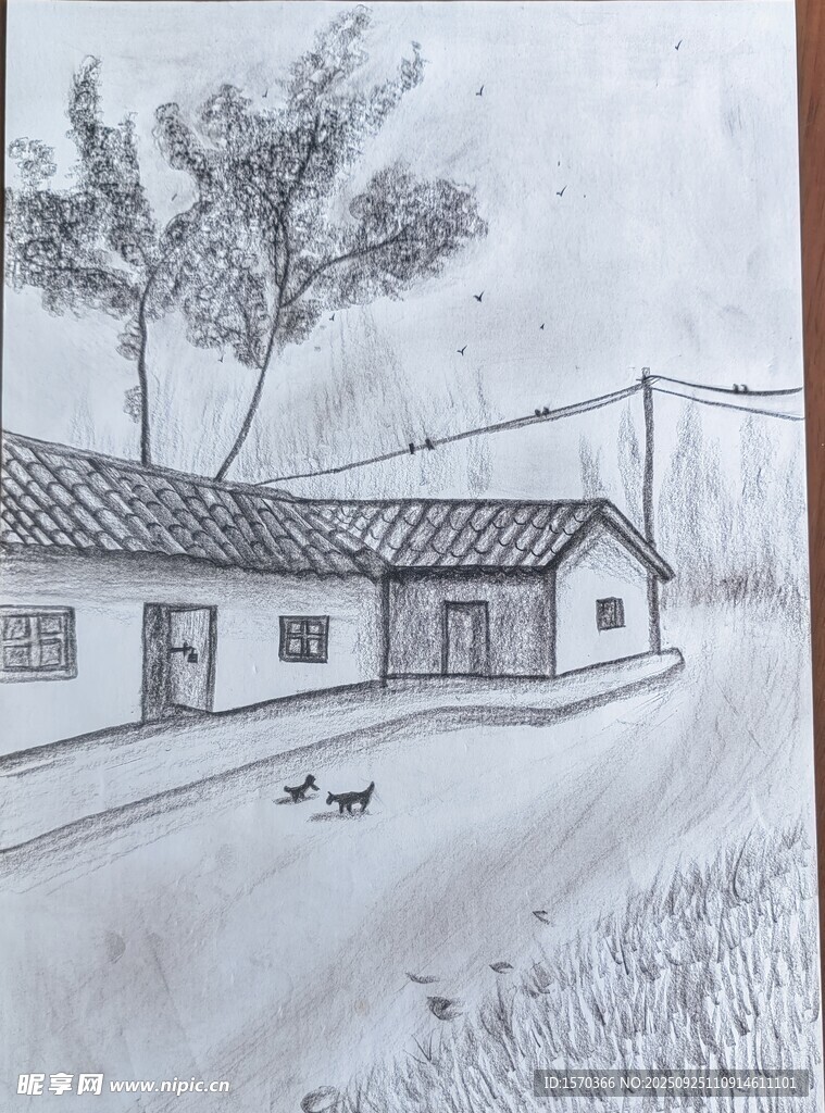 乡村瓦房旁的宁静景象