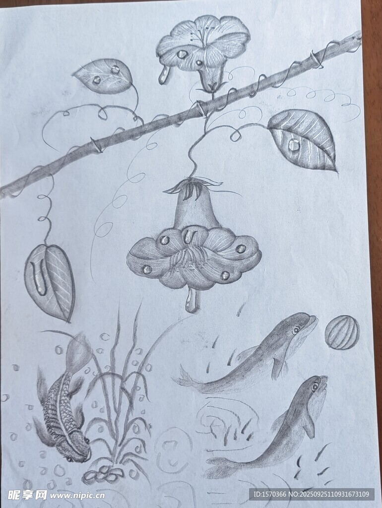 手绘海底生物与植物景象
