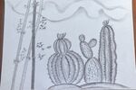 手绘仙人掌植物图案