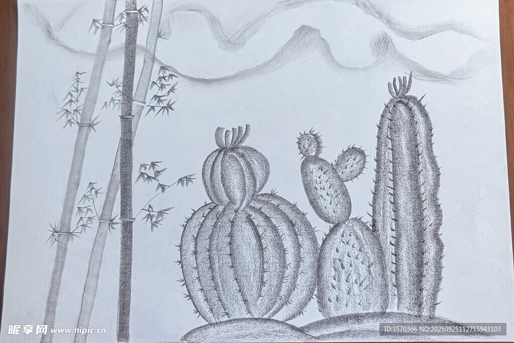 手绘仙人掌植物图案