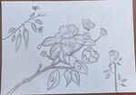 花卉素描手绘稿