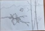 素描花卉与竹的静谧画面