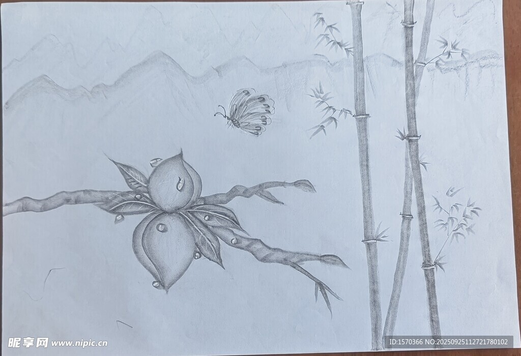 素描花卉与竹的静谧画面