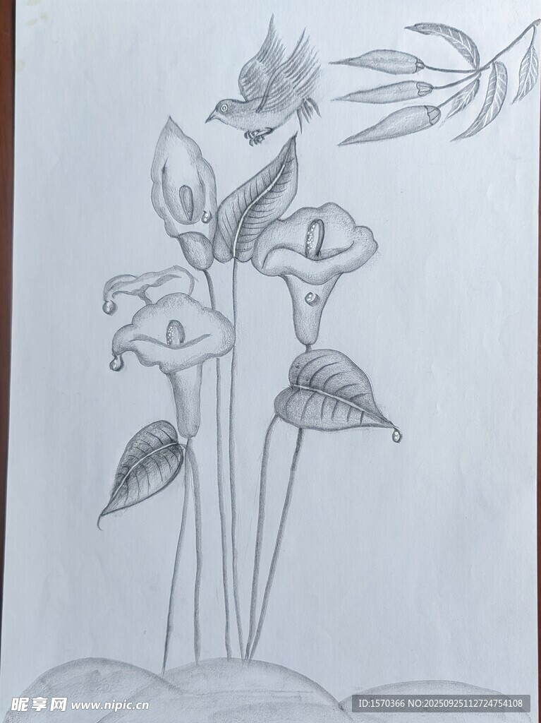 手绘花卉图稿