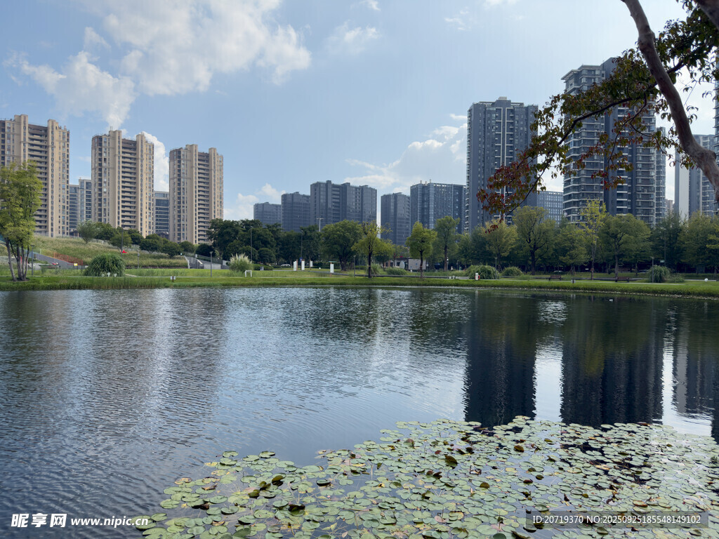 城市湖畔风光