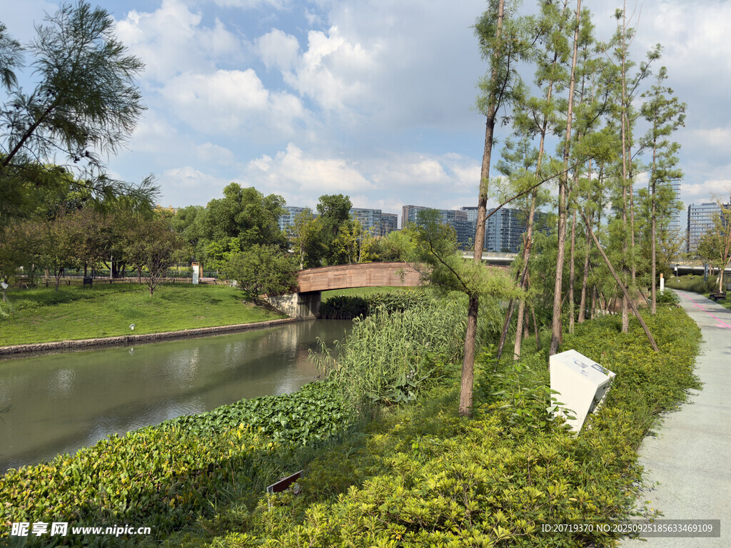 城市河畔绿意盎然景观