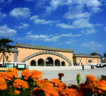 地坑院