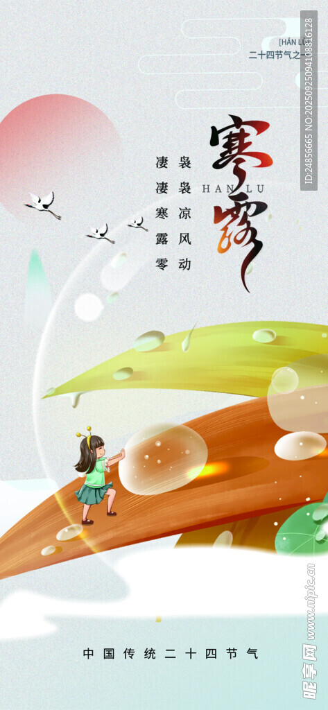 24节气 寒露 微信 节气海报