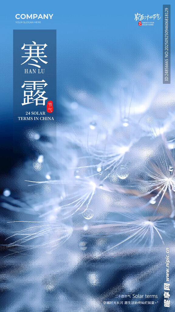 24节气 寒露 微信 节气海报