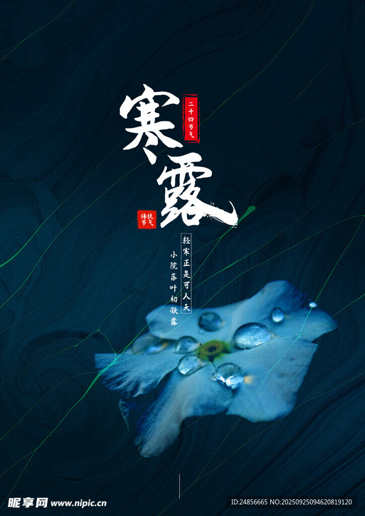 24节气 寒露 微信 节气海报