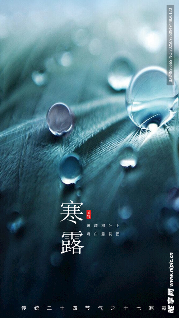 24节气 寒露 微信 节气海报