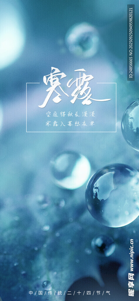 24节气 寒露 微信 节气海报
