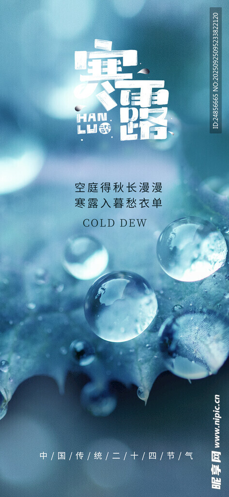 24节气 寒露 微信 节气海报