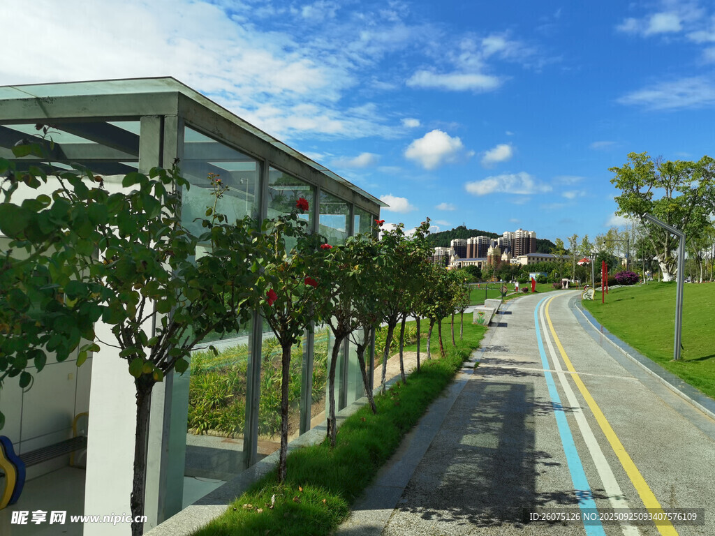 城市绿荫步道景观