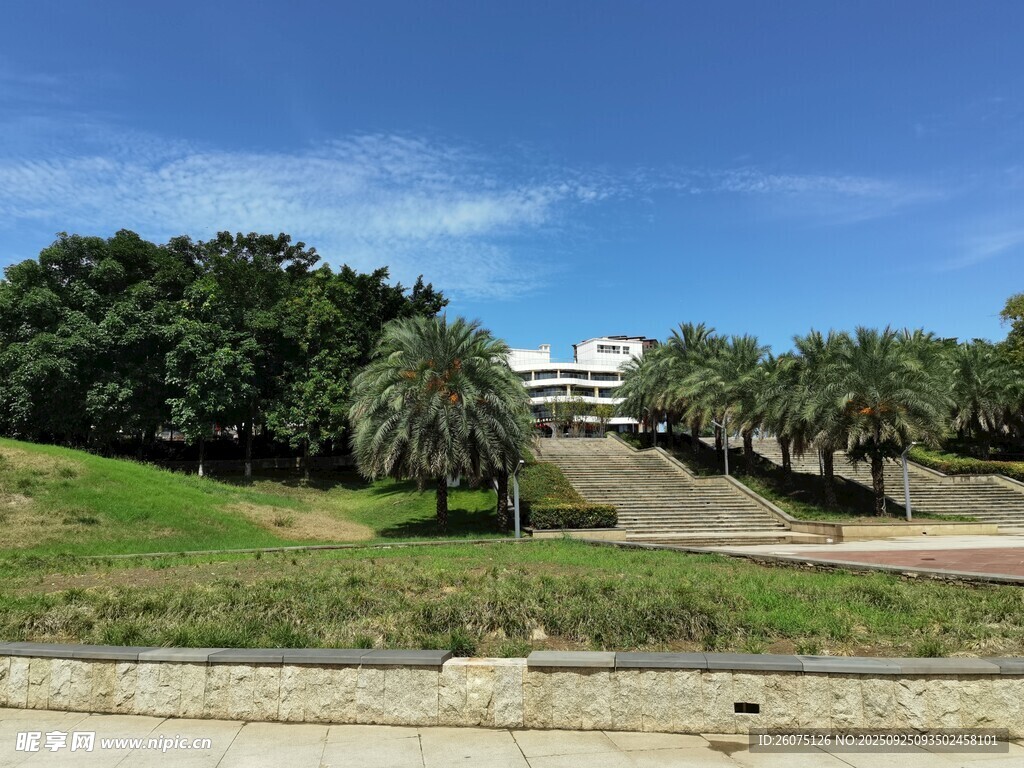 户外开阔绿地与棕榈树景观