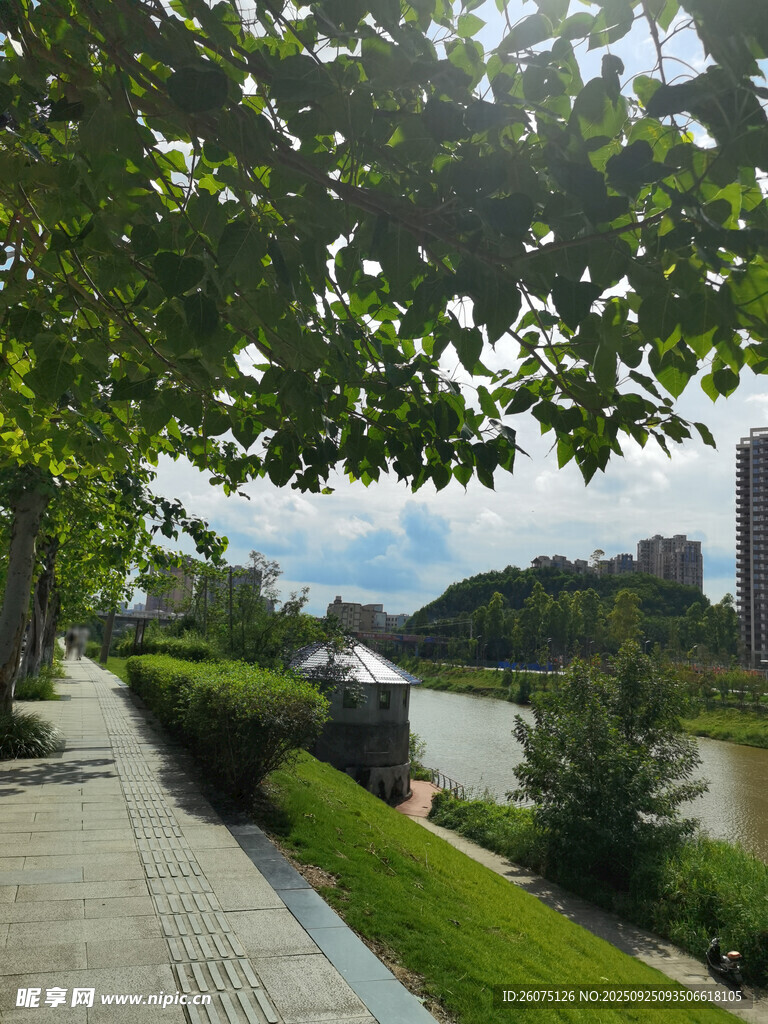 河畔绿荫下的城市步道