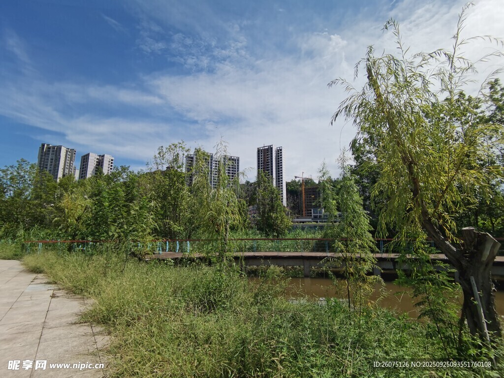 城郊小路旁的绿植与建筑