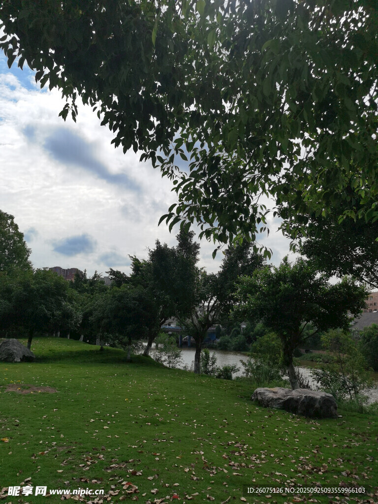 绿意盎然的公园景致
