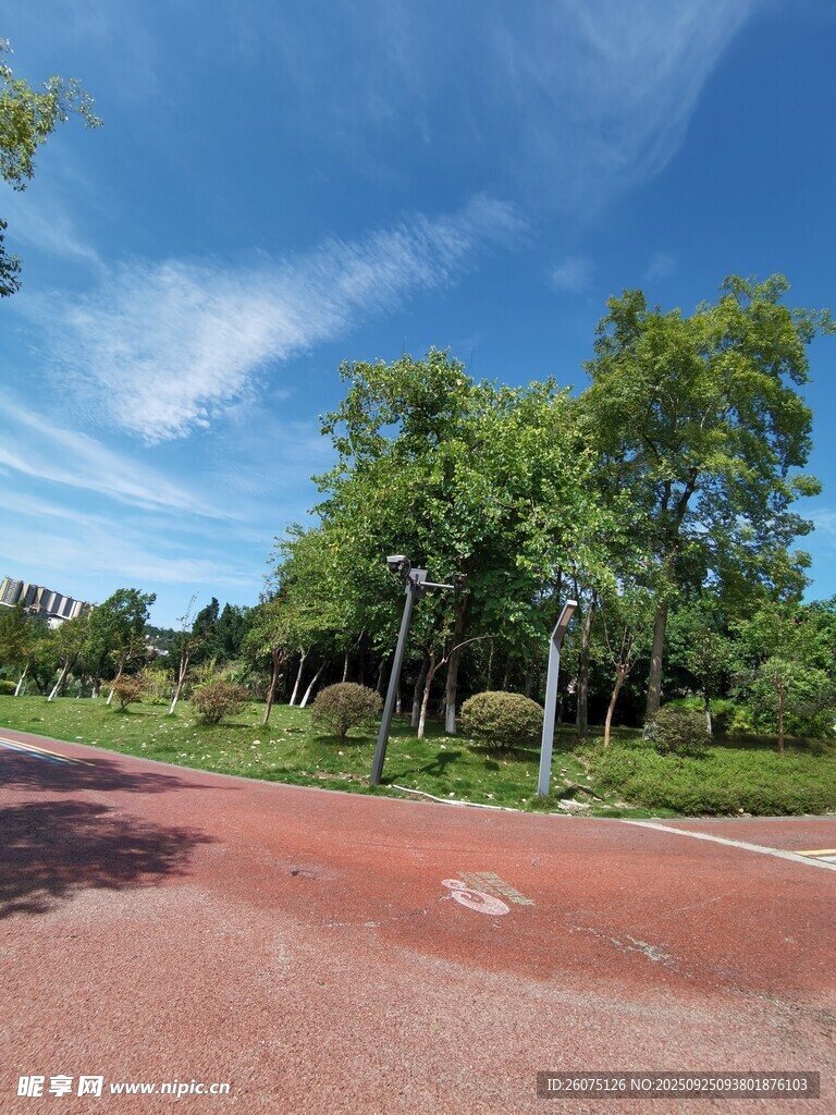 公园红色步道与葱郁绿树