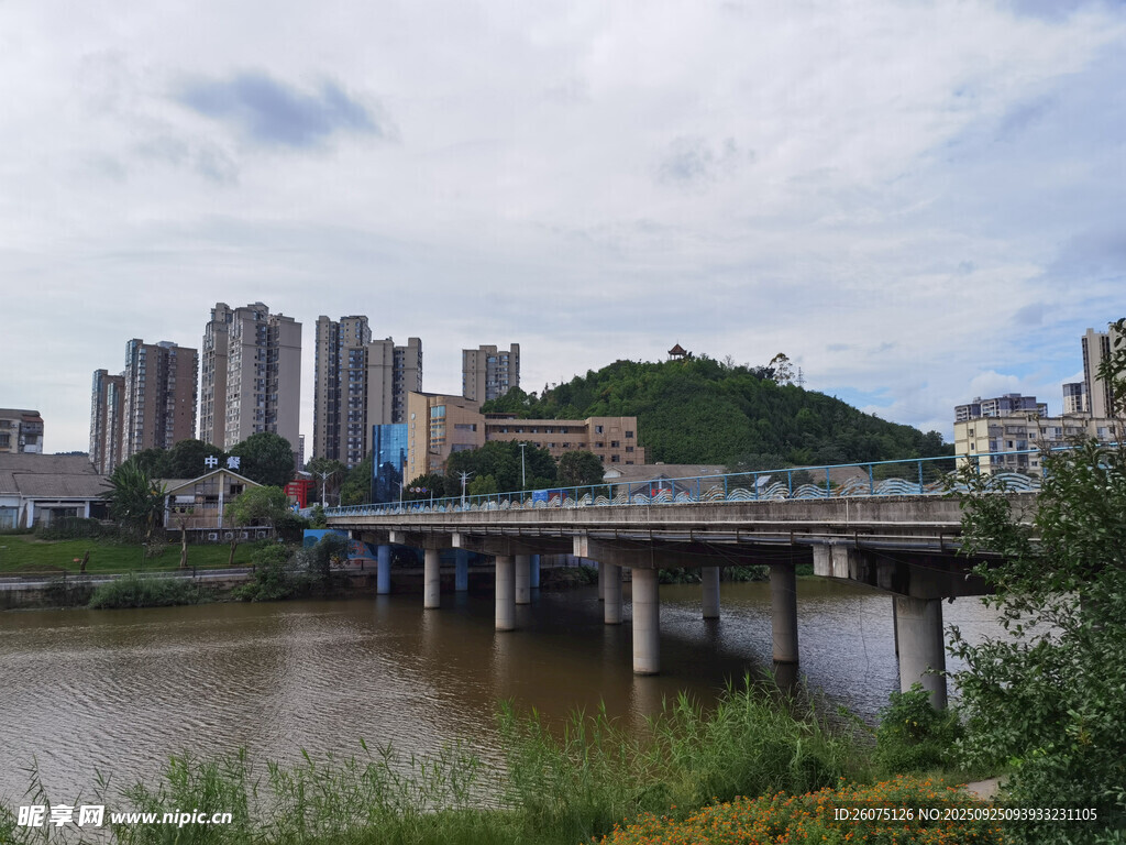 城市河畔桥梁与高楼景观
