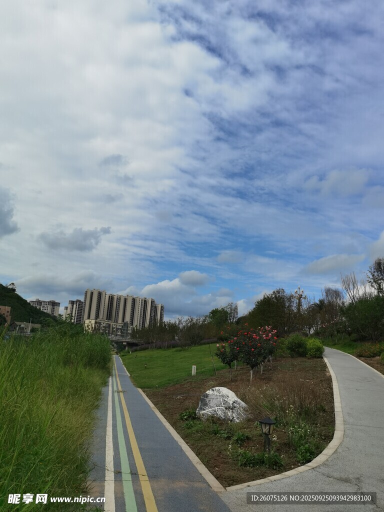 城市中的蜿蜒小径与绿地