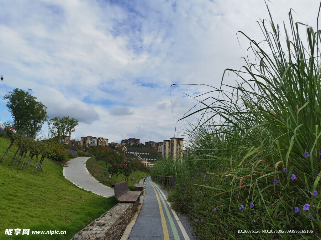 田园小径风光