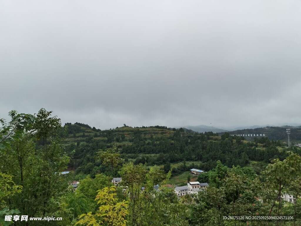 山间绿植景观