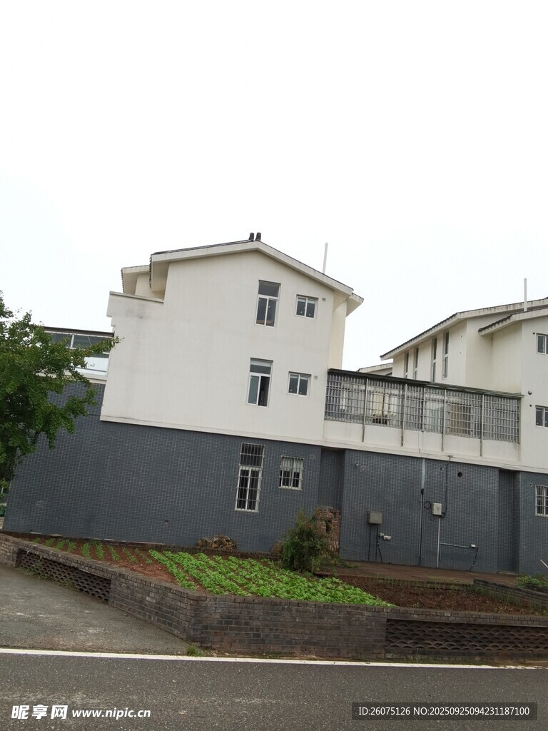 两层白色住宅及周边景观