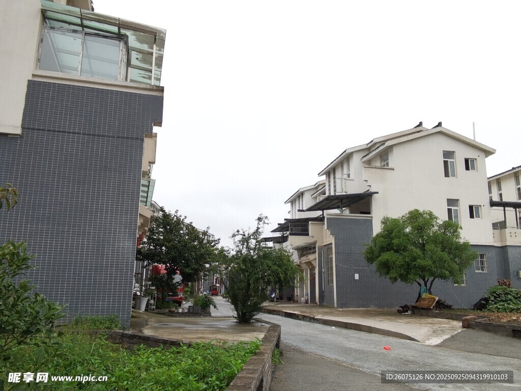 城郊住宅区街道景象