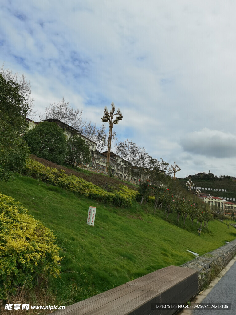 路边绿意盎然的山坡景致