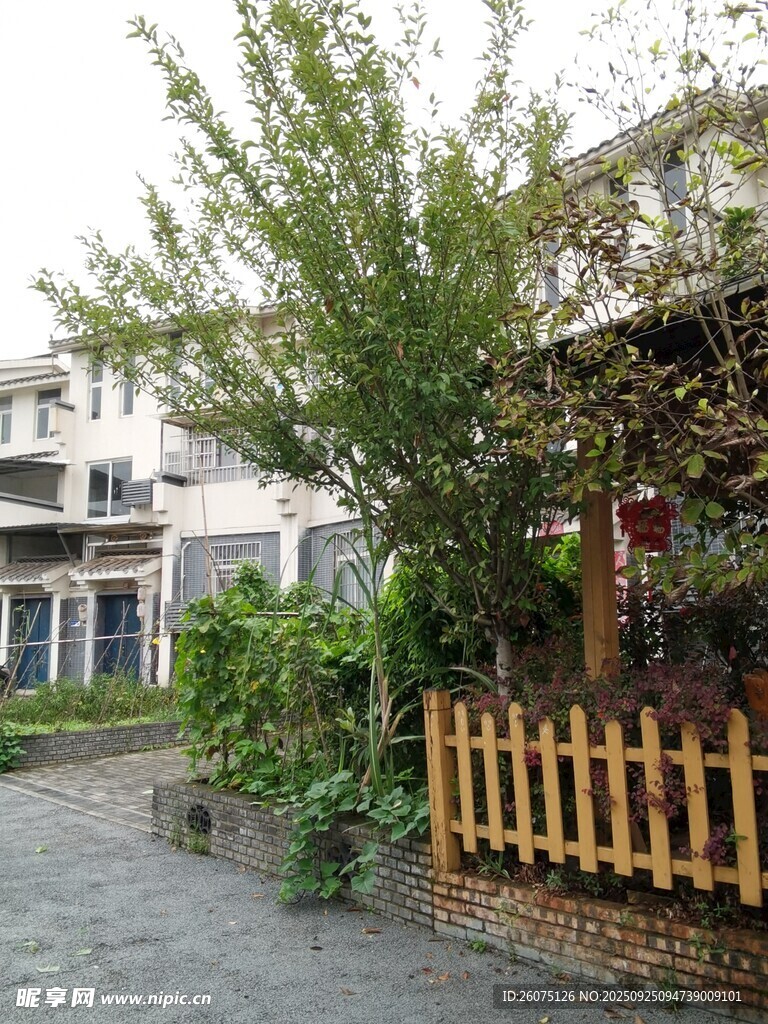 庭院绿植与木质围栏景观