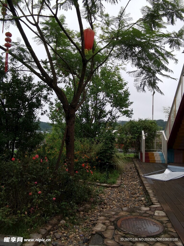 庭院小径绿植红灯笼景