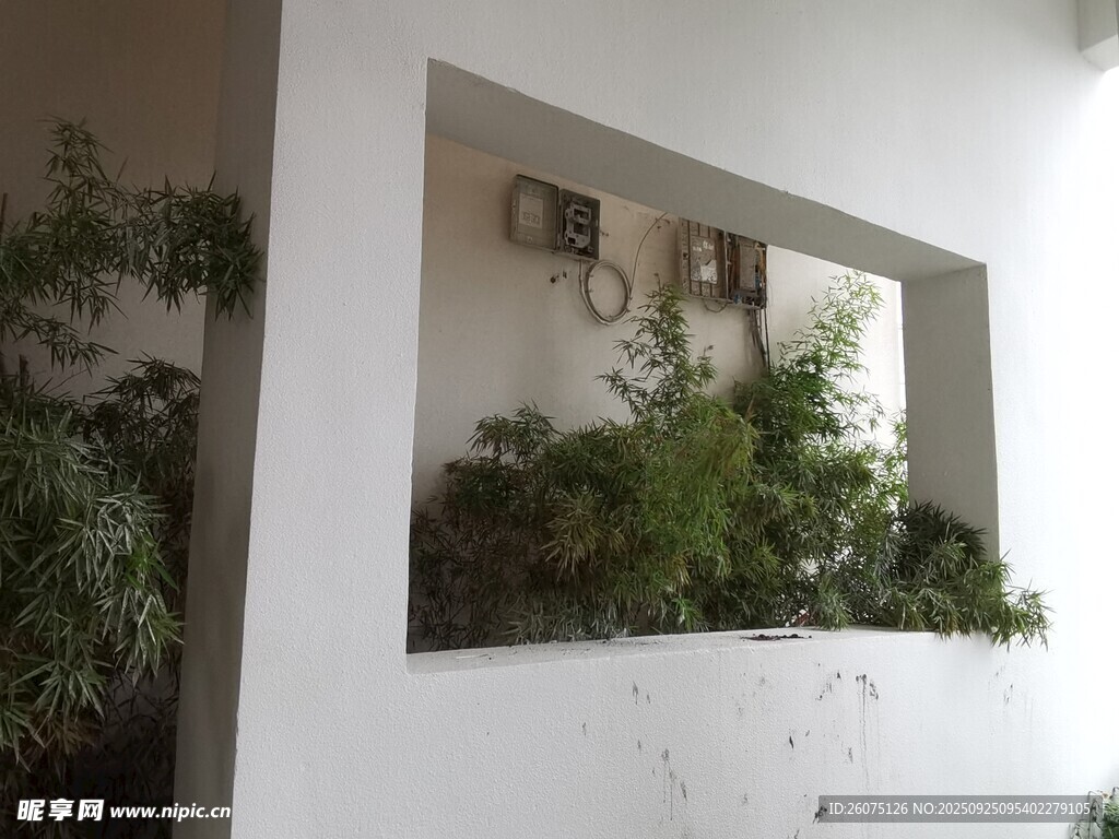 室内绿植装饰墙面角落