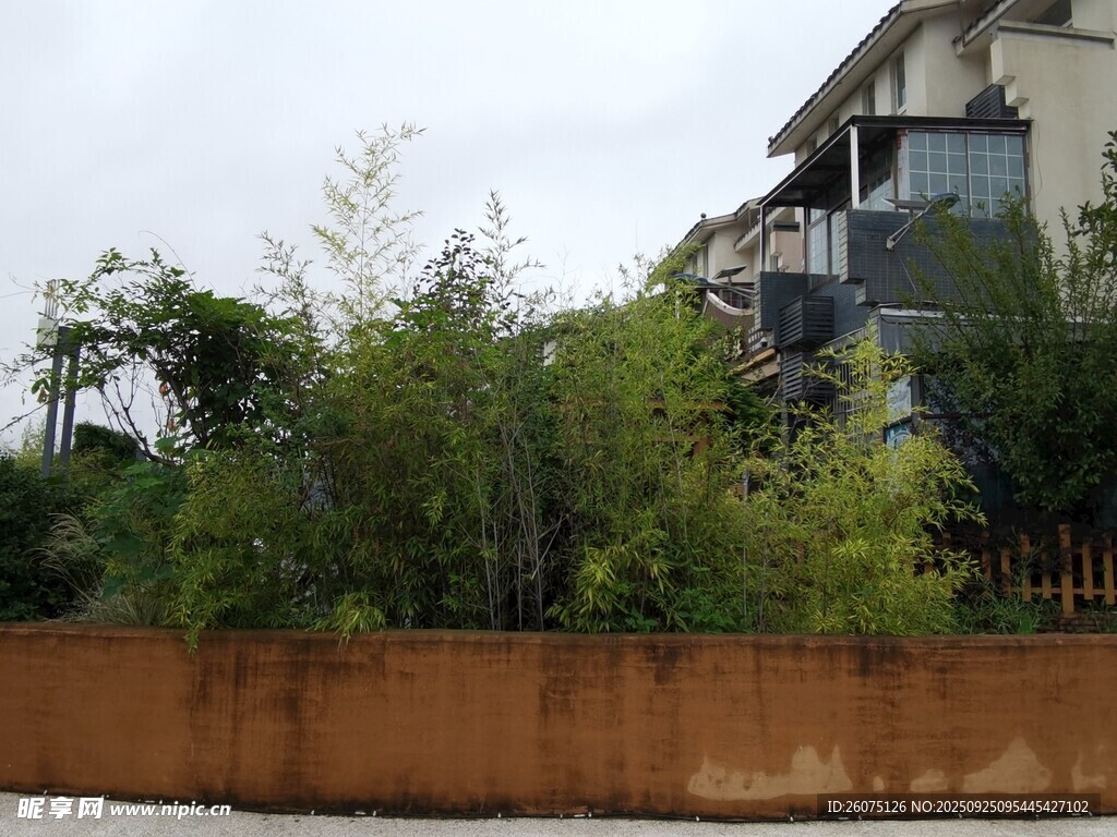 住宅旁绿植环绕景致