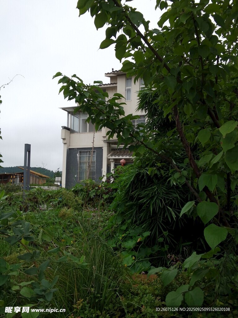 被绿植环绕的白色建筑