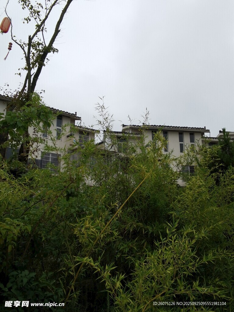 被绿植环绕的老旧建筑