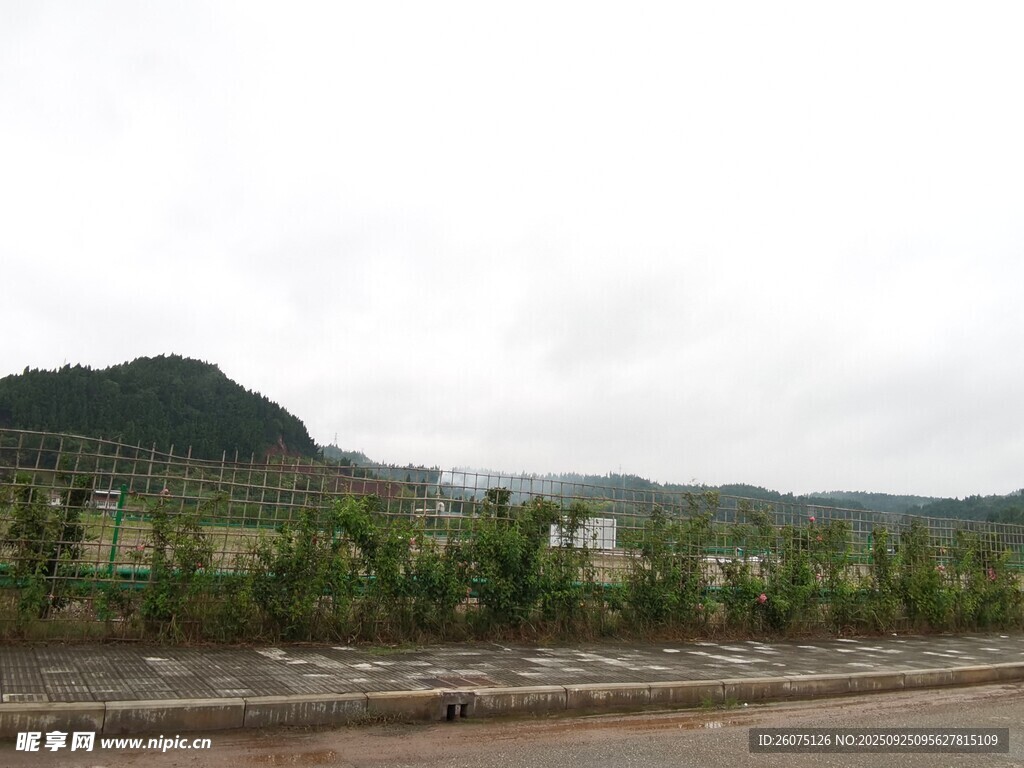 公路旁的青山绿植风景