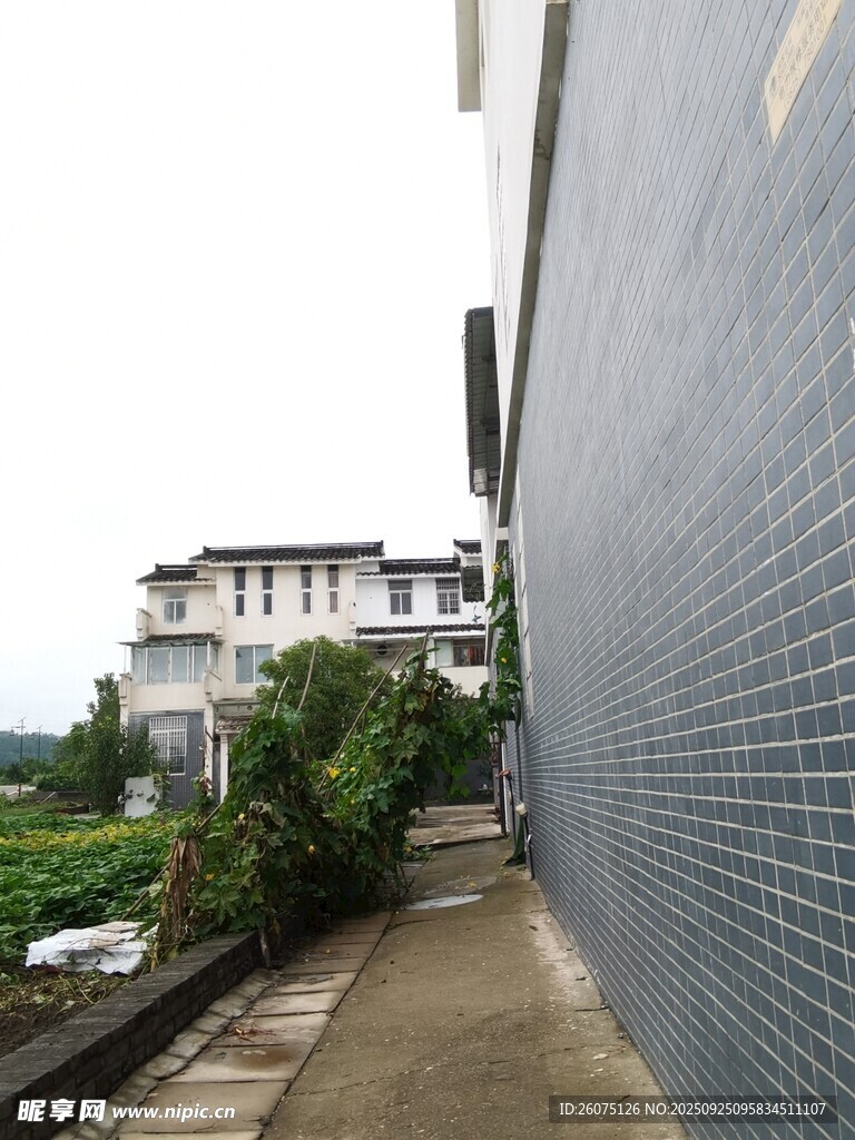 墙边小道远处白楼绿植