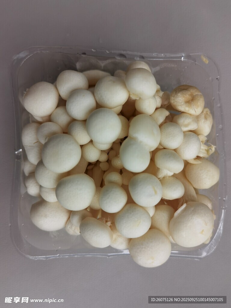盒装新鲜白玉菇