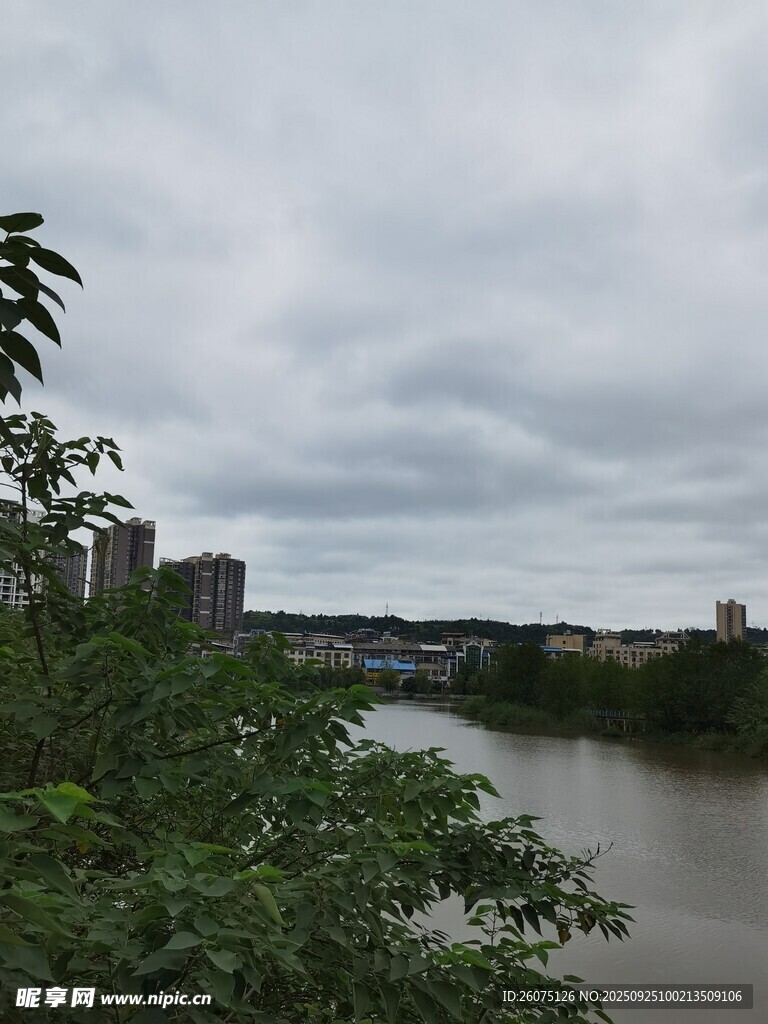 河畔绿树与远处城市景观