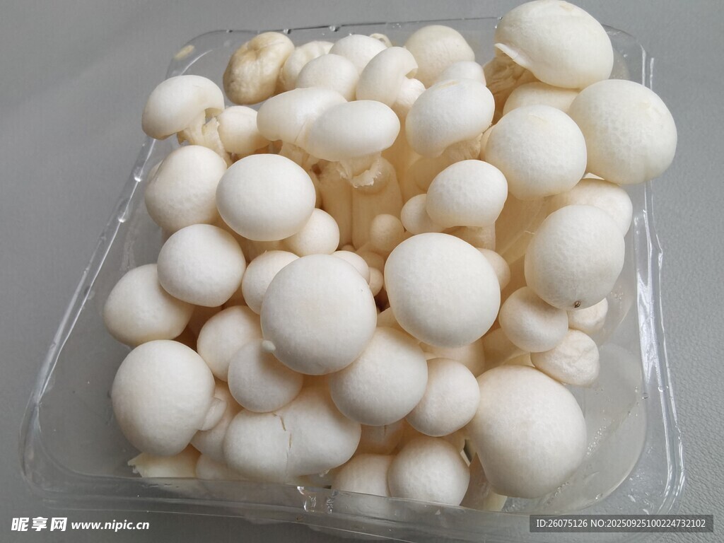 盒装白玉菇