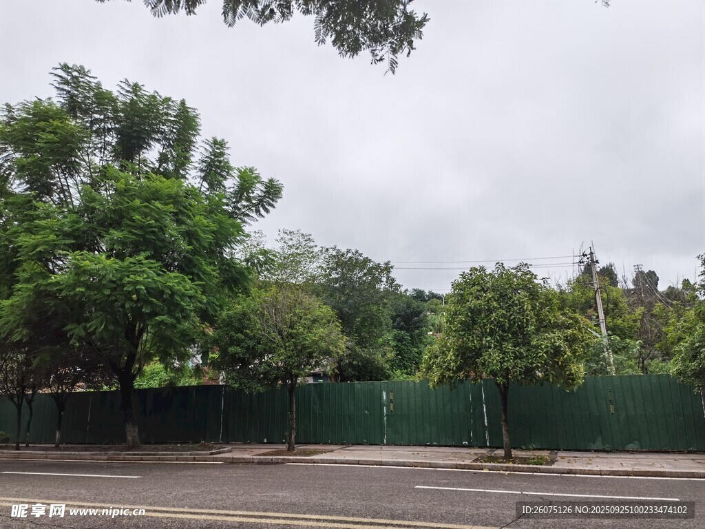 户外绿树环绕的空旷场地