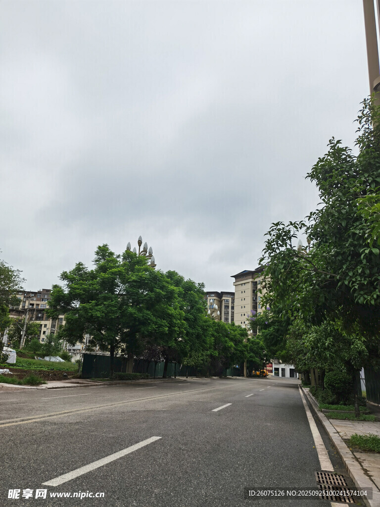空旷街道旁绿树成荫