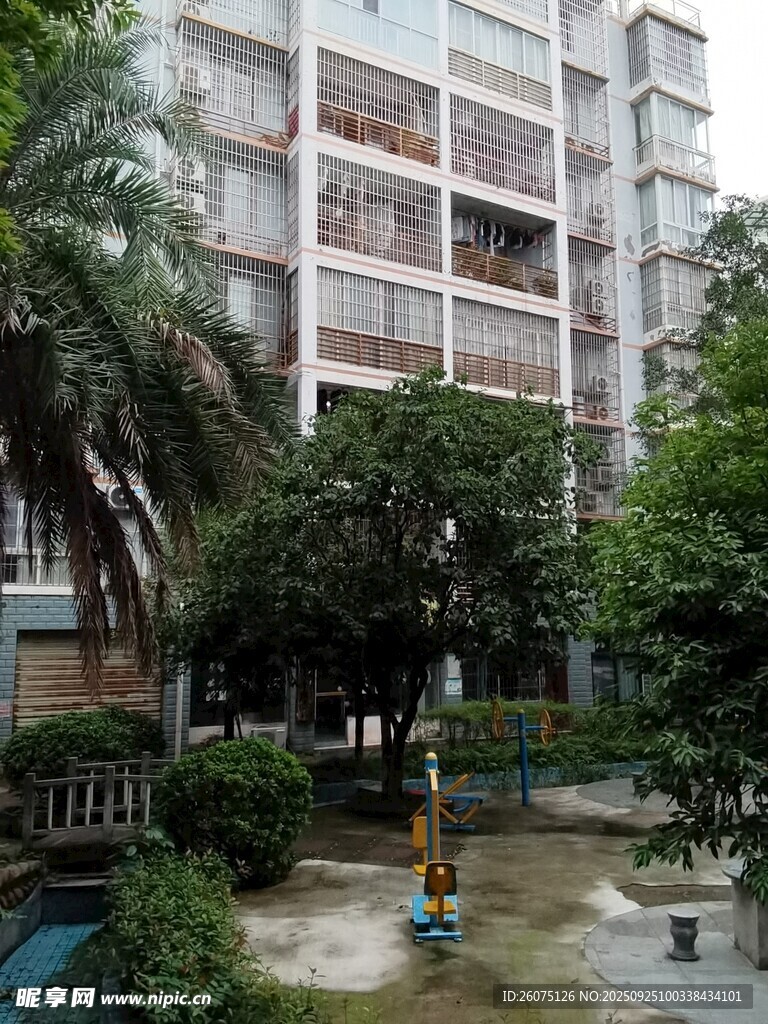小区内的绿化景观