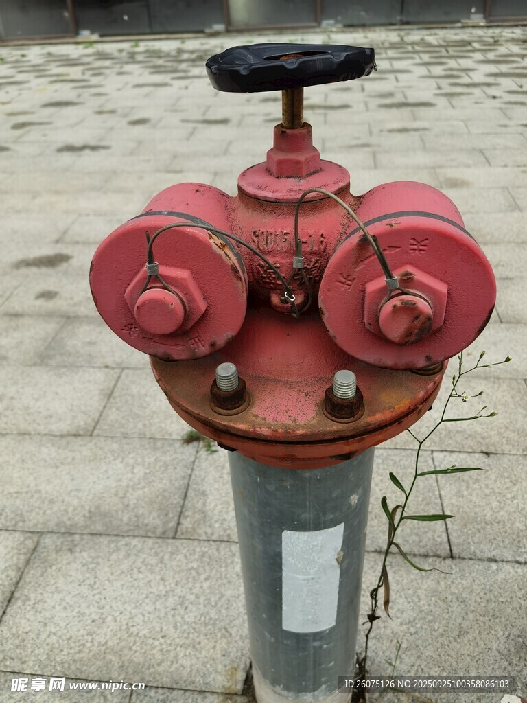 红色双接口消防栓特写