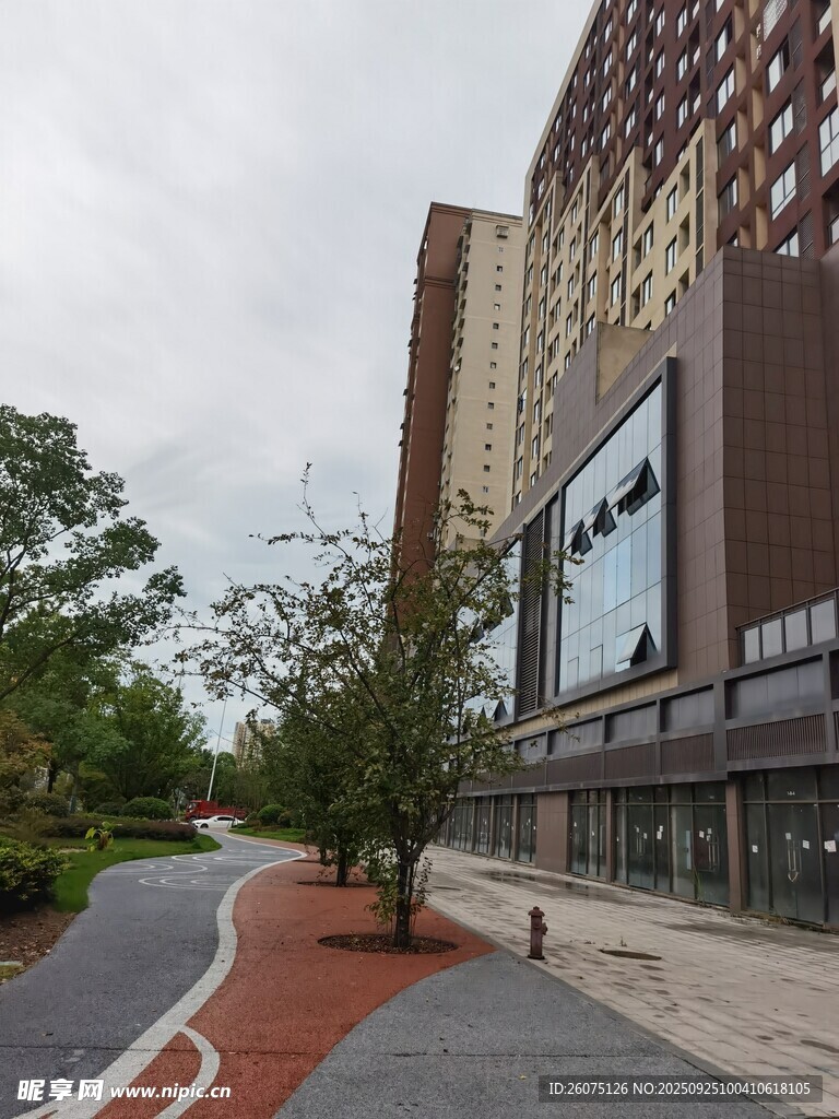 城市街道旁的现代建筑景观