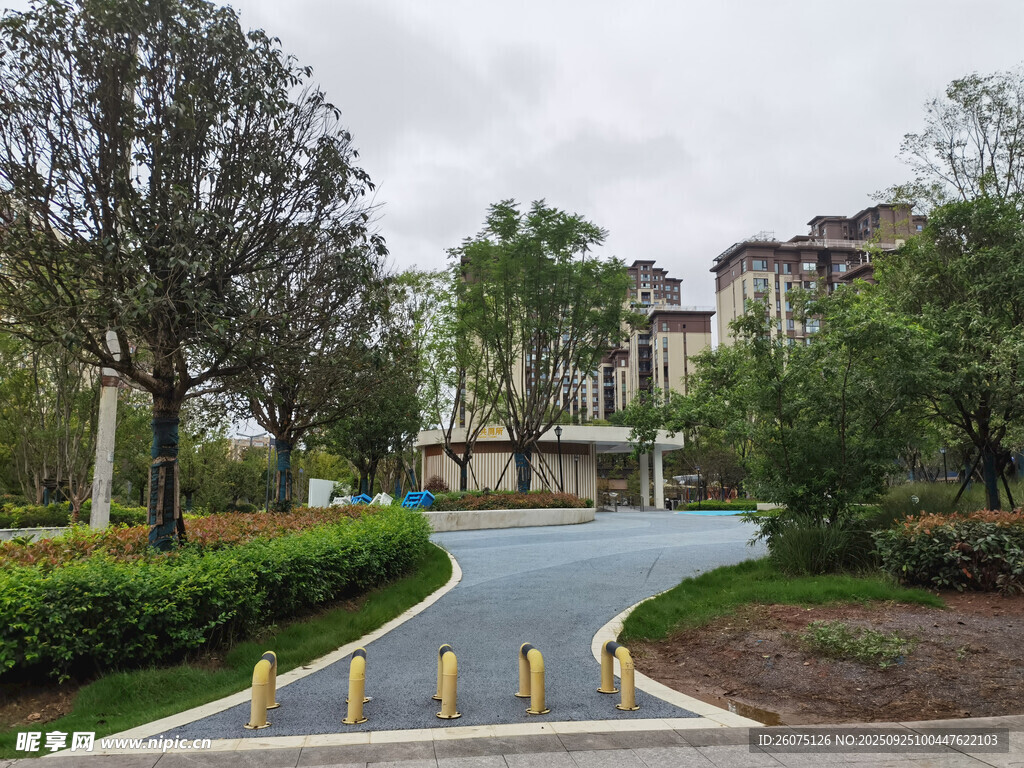 小区内的优美道路景观
